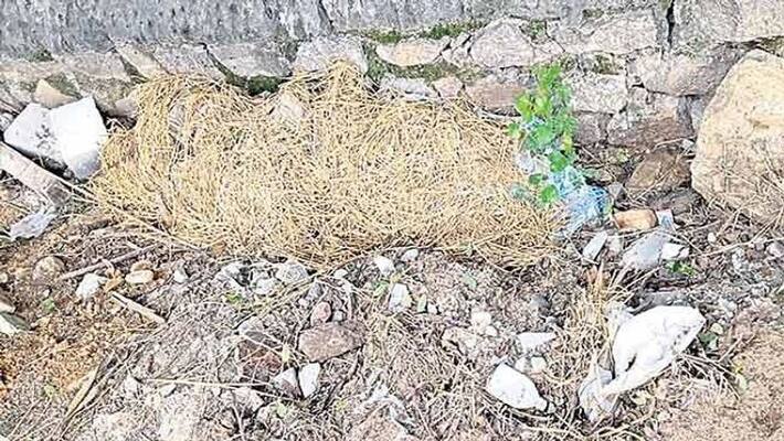 husband kills wife brutally and wrapped in grass, hyderabad husband kills wife brutally and wrapped in grass, hyderabad