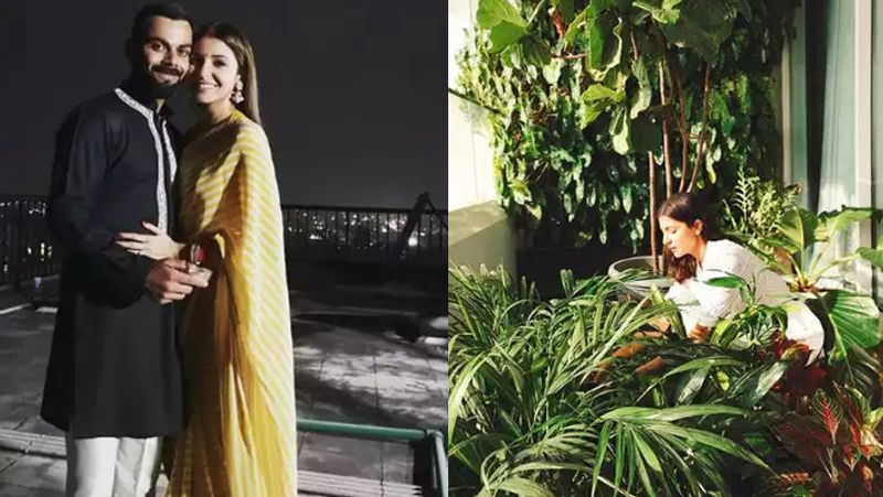 Anushka Sharma Virat Kohli luxurious house, see photos