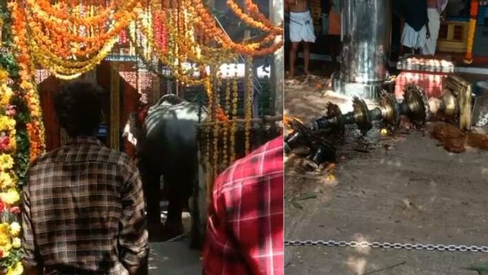 elephant attack in temple in Thrissur, lamp post demolished, mahout hospitalized elephant attack in temple in Thrissur, lamp post demolished, mahout hospitalized
