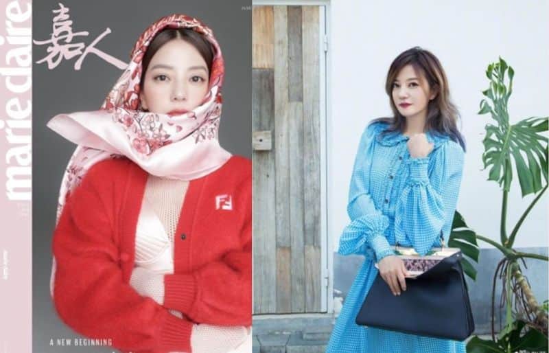 what happened to zhao wei chinese popular actor deleted from internet