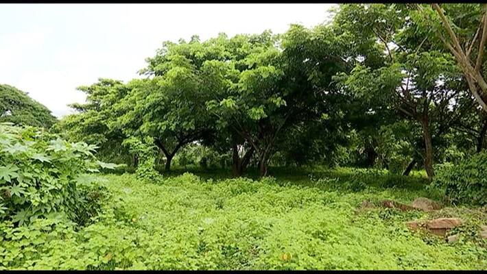 palakkad collector stern action in Shornur fields should be restored within two months palakkad collector stern action in Shornur fields should be restored within two months