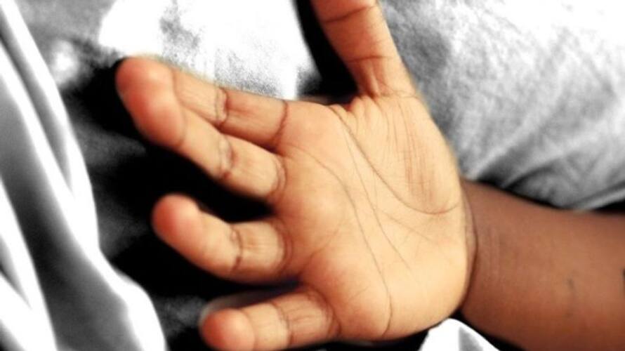 6 year old girl Dies in Attappadi 6 year old girl Dies in Attappadi