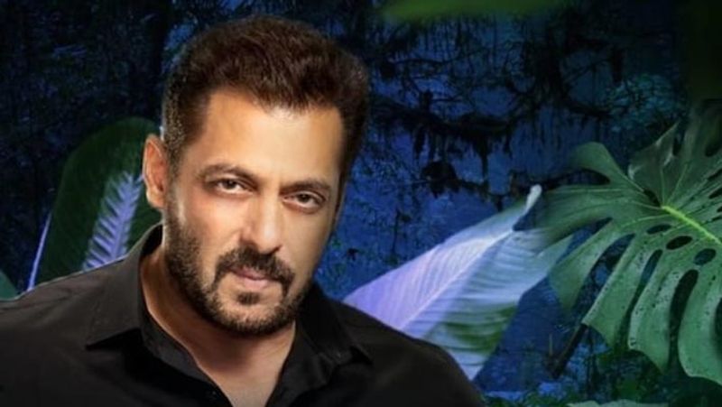 salman khan is unmarried at the age of 55, actor talk about his one and only relationship in life