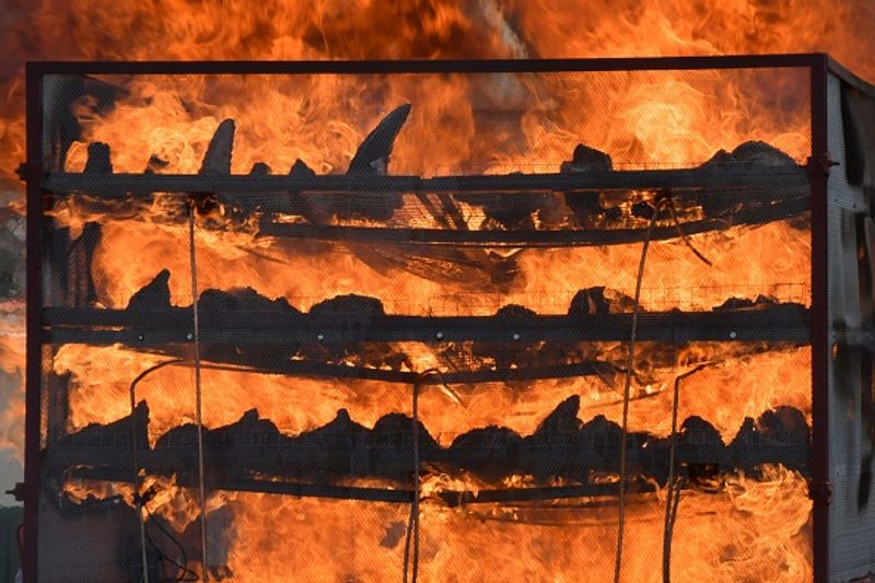 Assam government has set fire to the worlds largest collection of rhino horns