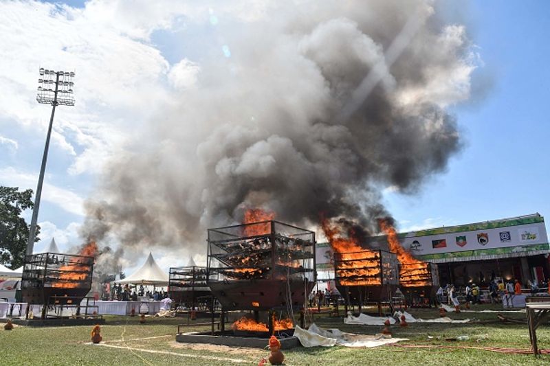 Assam government has set fire to the worlds largest collection of rhino horns