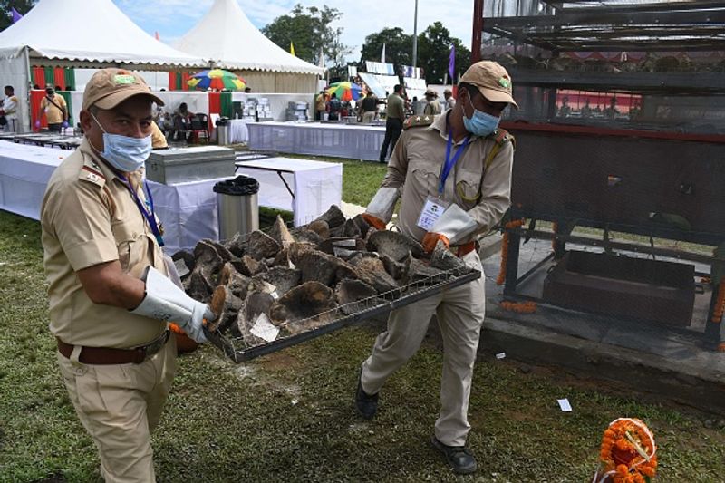 Assam government has set fire to the worlds largest collection of rhino horns