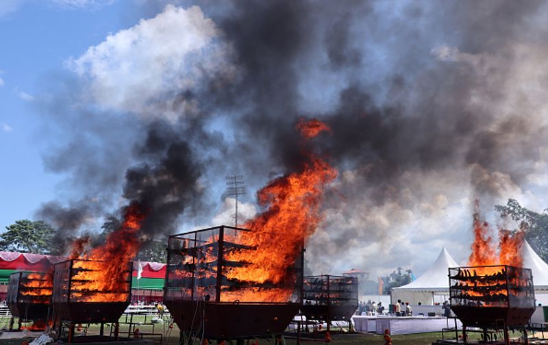 Assam government has set fire to the worlds largest collection of rhino horns