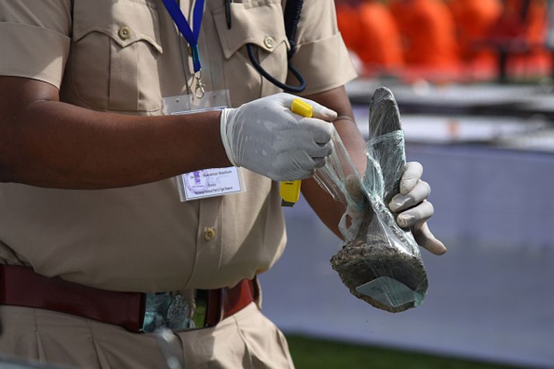 Assam government has set fire to the worlds largest collection of rhino horns