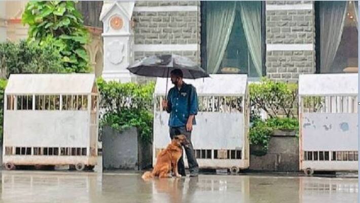 Ratan Tata share picture of taj employee shielding stray dog from rain goes viral ckm Ratan Tata share picture of taj employee shielding stray dog from rain goes viral ckm