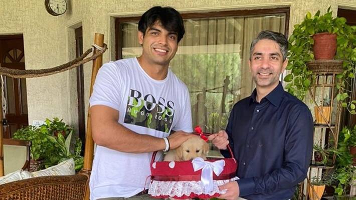 Dogs cannot be a gift Netizens slams Abhinav Bindra for Gifting Puppy to Neeraj Chopra ckm Dogs cannot be a gift Netizens slams Abhinav Bindra for Gifting Puppy to Neeraj Chopra ckm