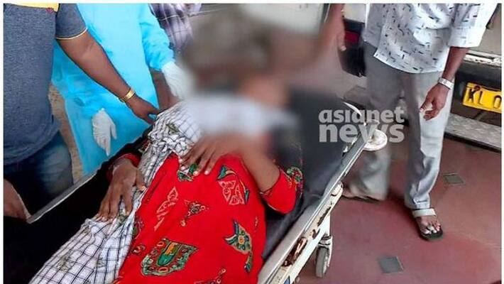 Attempted abduction of a health worker in Thrikkunnapuzha Police did not arrest the accused Attempted abduction of a health worker in Thrikkunnapuzha Police did not arrest the accused