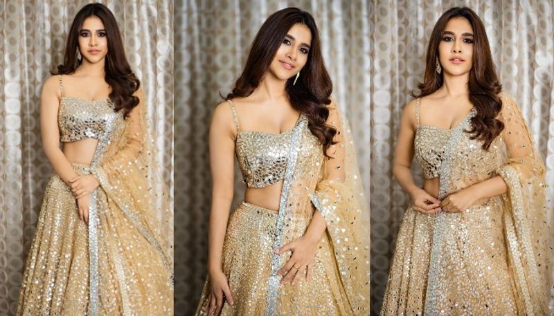ismart beauty nabha natesh puts on hot in sparkling outfit looks stunning