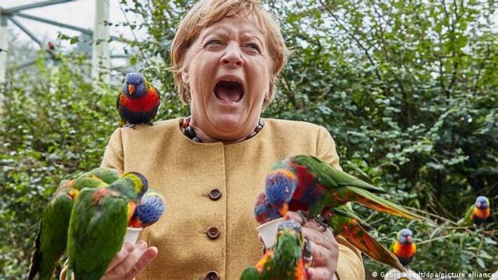 Angela Merkel visited a bird park, where a Australian rainbow lorikeet bit her: photos Angela Merkel visited a bird park, where a Australian rainbow lorikeet bit her: photos