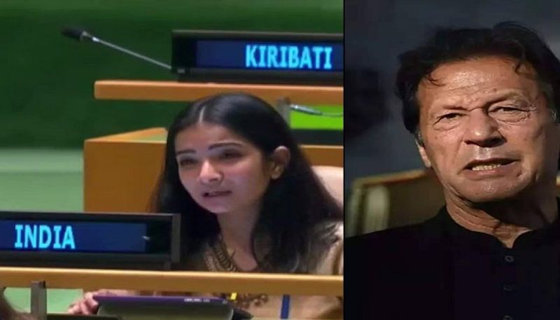 Sneha Dubey : know all about india's first secretary at UN who gave fiery reply to pakistan prime minister imran khan