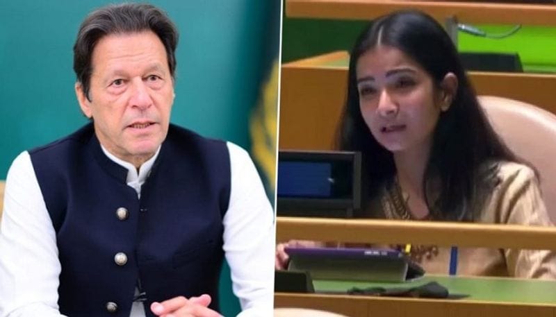 Sneha Dubey : know all about india's first secretary at UN who gave fiery reply to pakistan prime minister imran khan