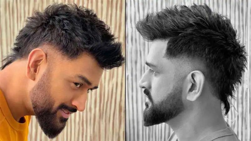 IPL 2021 From Dhoni to Hetmeyer See These Cricketer New Hairstyles