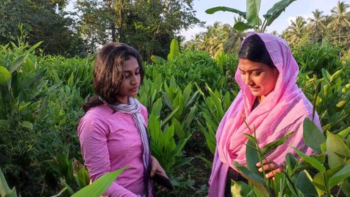 malappuram house wife farming spices and get customers from abroad malappuram house wife farming spices and get customers from abroad