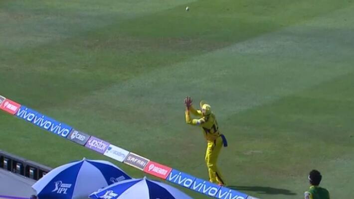 IPL 2021 CSK vs KKR Watch Faf du Plessis boundary line catch to out Eoin Morgan IPL 2021 CSK vs KKR Watch Faf du Plessis boundary line catch to out Eoin Morgan