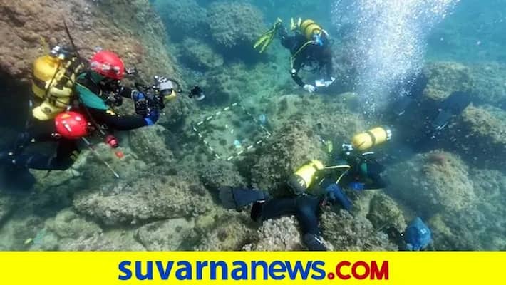 Spain Roman gold coins found by amateur divers clearing trash pod Spain Roman gold coins found by amateur divers clearing trash pod