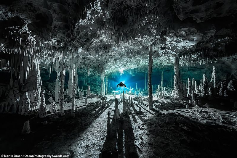 Ocean Photography Award marking marine pollution