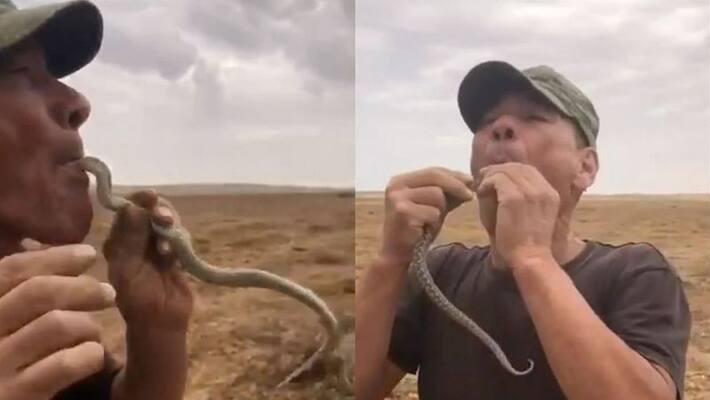russian farmer dies after trying to swallow snake russian farmer dies after trying to swallow snake