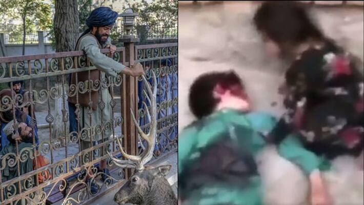 Taliban kill child after father suspected of being resistance force member pod Taliban kill child after father suspected of being resistance force member pod
