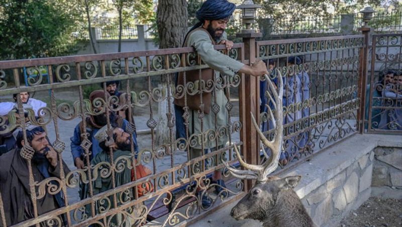 Some pictures showing human rights and women safety in Afghanistan