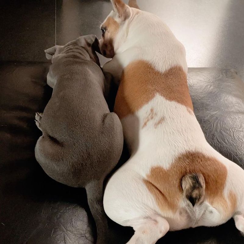 Never thought I would see this so soon samantha shared photo goes viral