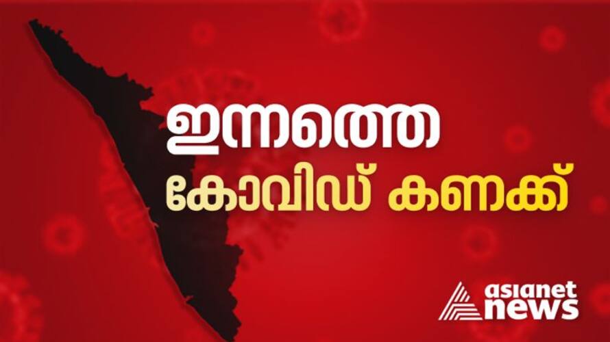covid 19 daily updates from kerala health department 3382 new cases on November 29 covid 19 daily updates from kerala health department 3382 new cases on November 29