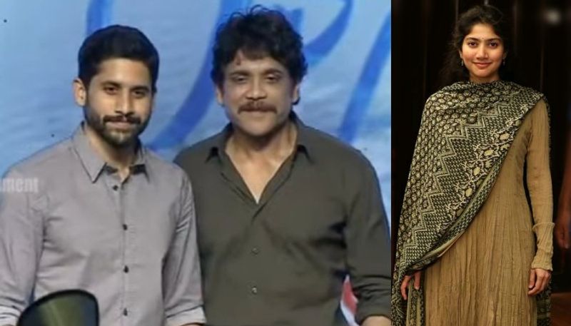 i have seeing hundreds sai pallavi in lovestory said nagarjuna at success meet