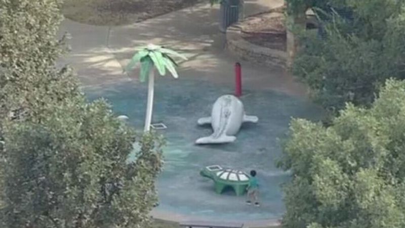 Child dies of brain eating amoeba likely contracted at Texas splash pad officials say pod