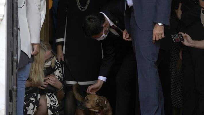 Greek PMs pet dog interrupts his news conference Greek PMs pet dog interrupts his news conference