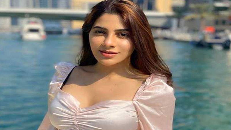 Nikki Tamboli showed moves, fans compare her to Katrina Kaif