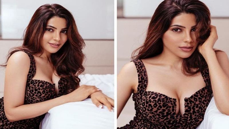 Nikki Tamboli showed moves, fans compare her to Katrina Kaif