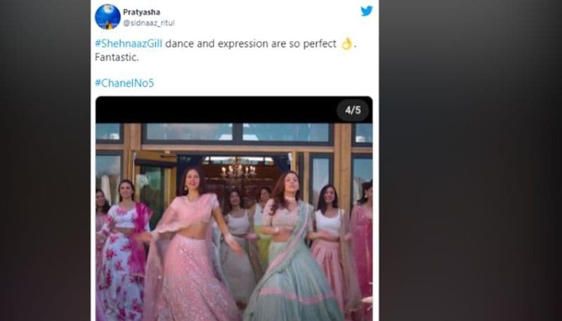 Shehnaaz Gill's fans loved her thumkas in Honsla Rakh song featuring Diljit Dosanjh, Sonam Bajwa RCB