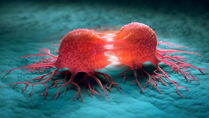 foods That Can Increase Your Risk Of Developing Cancerous foods That Can Increase Your Risk Of Developing Cancerous