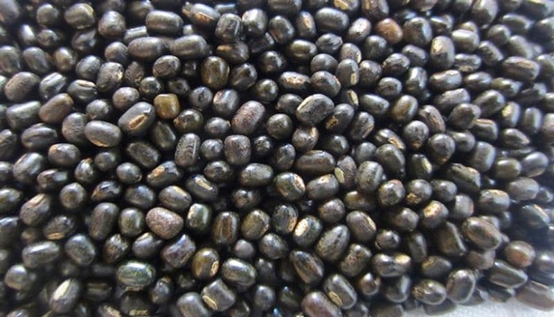10 black foods that are healthier than superfoods