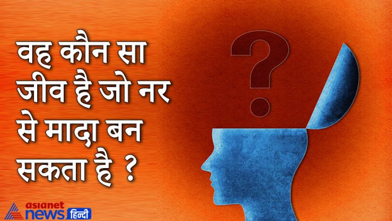 Upsc Interview tricky questions asked in civil service Exam