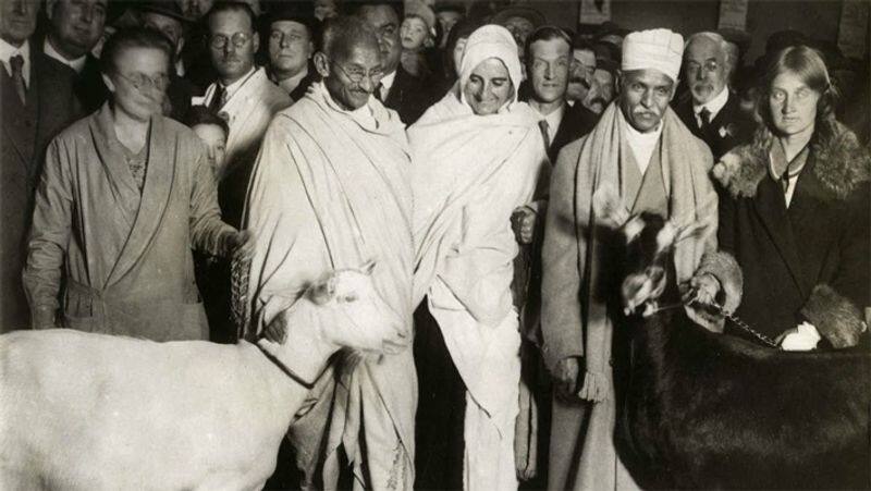 Gandhi Jayanti 2021: Mahatma Gandhi drink goat and almond milk, know its benefits