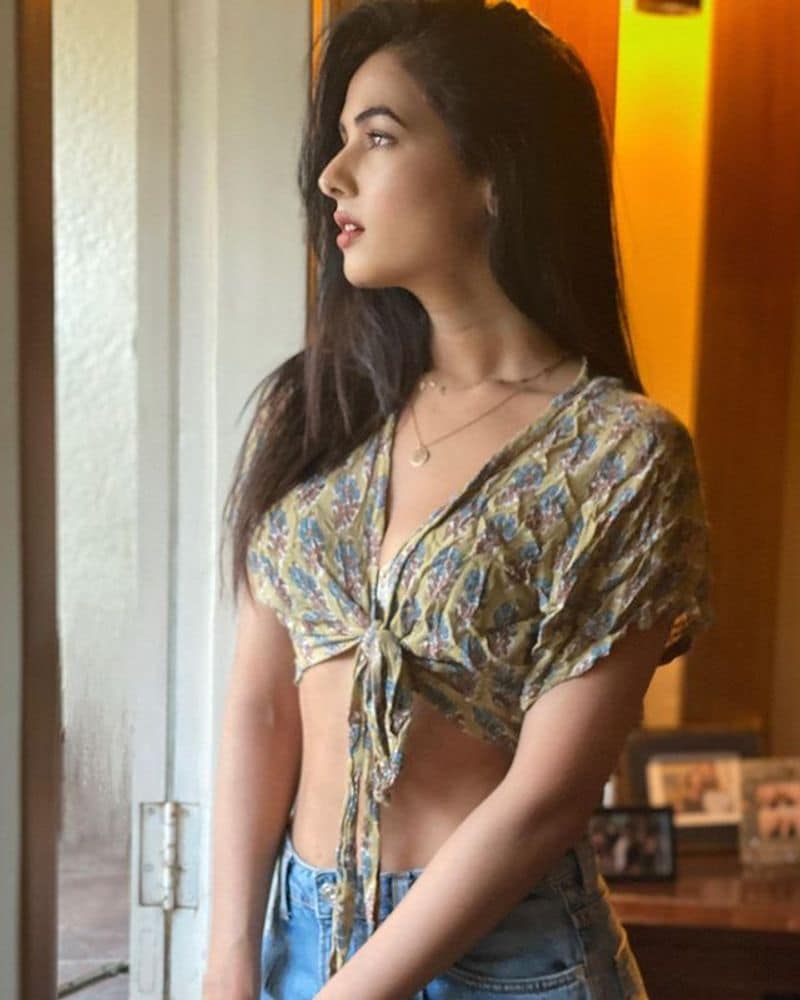 Sonal Chauhan photo shoot turns meme material