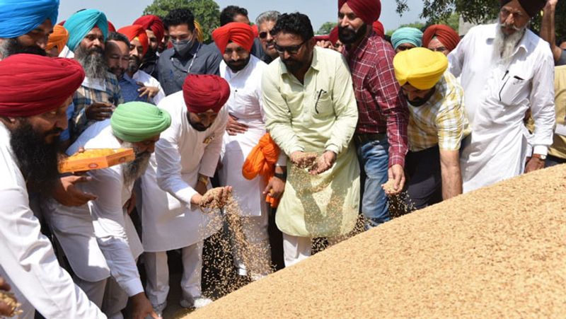 Punjab Chief Minister Charanjit Singh Channi visited Morinda grain market in Rupnagar to inspect and meet farmers paddy procurement started