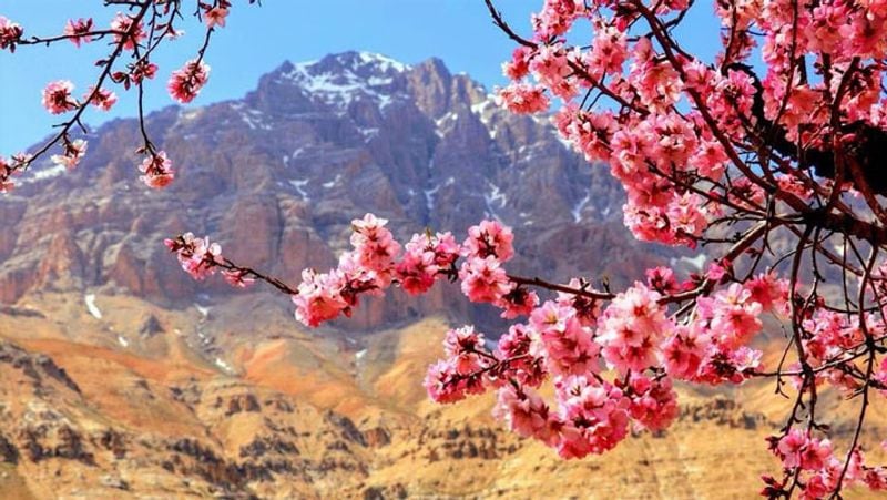 Afghanistan these beautiful pictures give happiness amidst war
