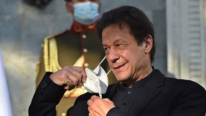 pakistan cabinet minister in pandora documents pakistan cabinet minister in pandora documents