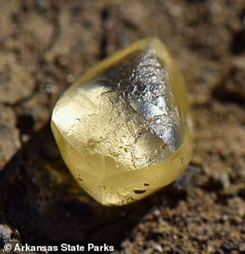 11 lakh yellow diamond found in half an hour search from Crater of Diamonds State Park