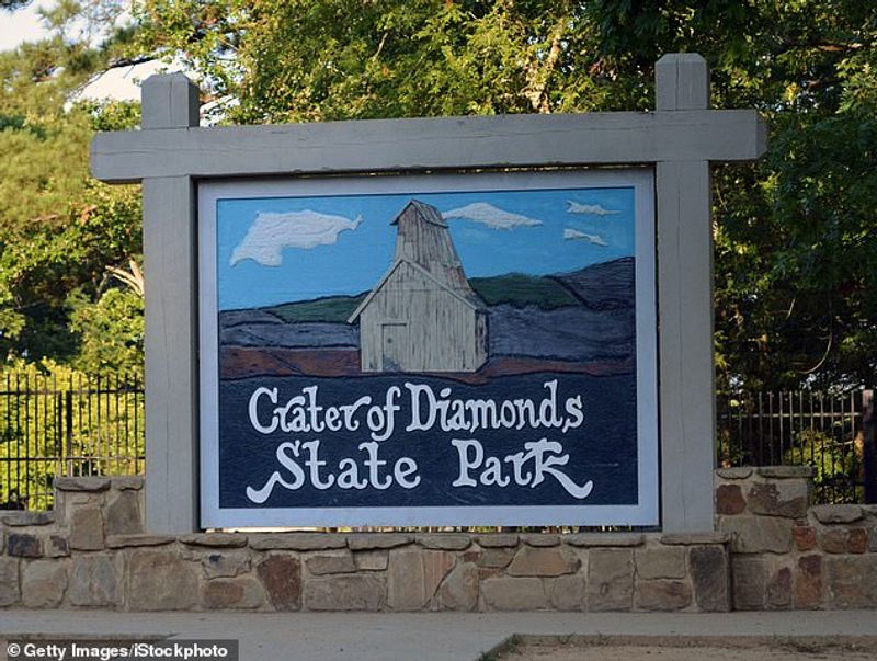 11 lakh yellow diamond found in half an hour search from Crater of Diamonds State Park