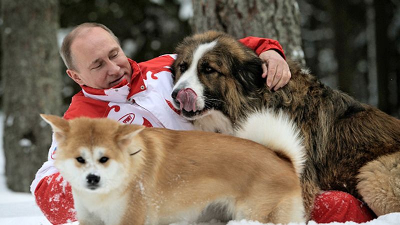 Russian President Vladimir Putin accused of tax evasion according to Pandora Papers
