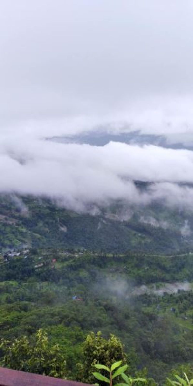 Puja Trip Plan know all details about samthar bjc