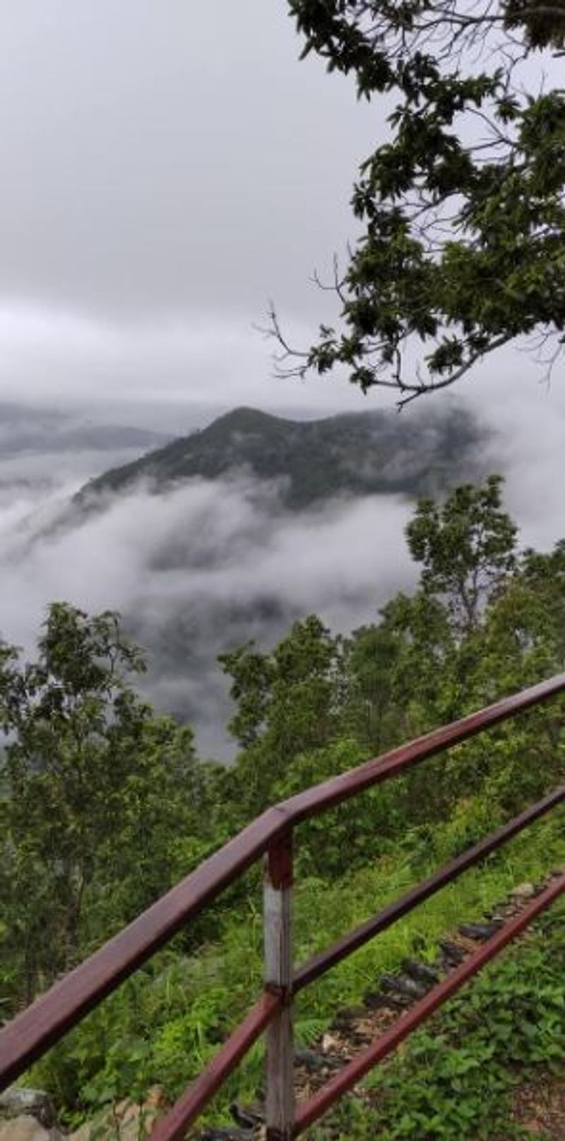 Puja Trip Plan know all details about samthar bjc
