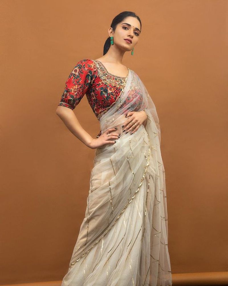 Ruhani Sharma transparent saree photos viral