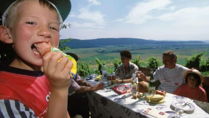 mother did the case babysitter pay compensation for feeding veggie kids meat mother did the case babysitter pay compensation for feeding veggie kids meat